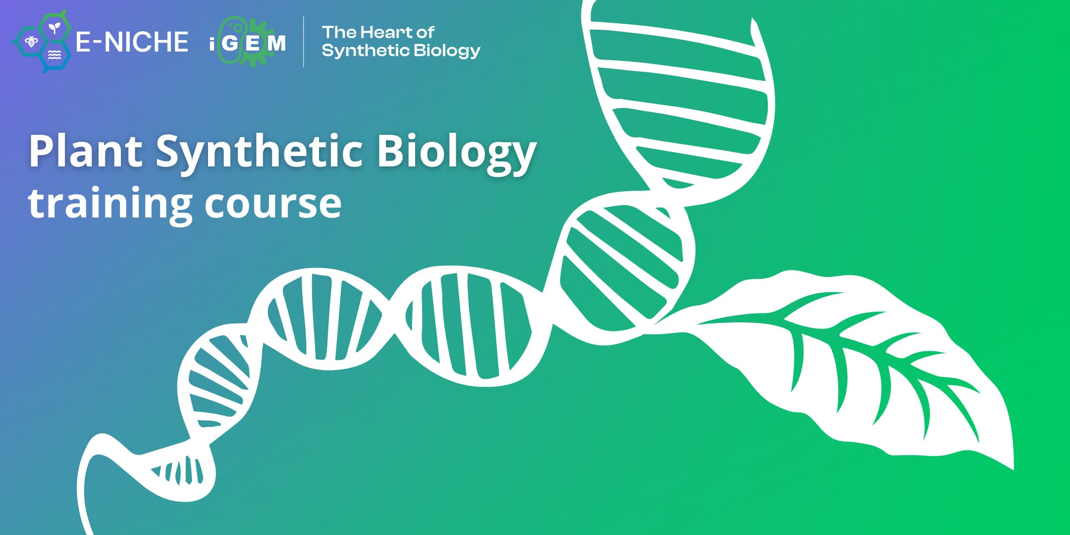 Votre texte de paragraphe